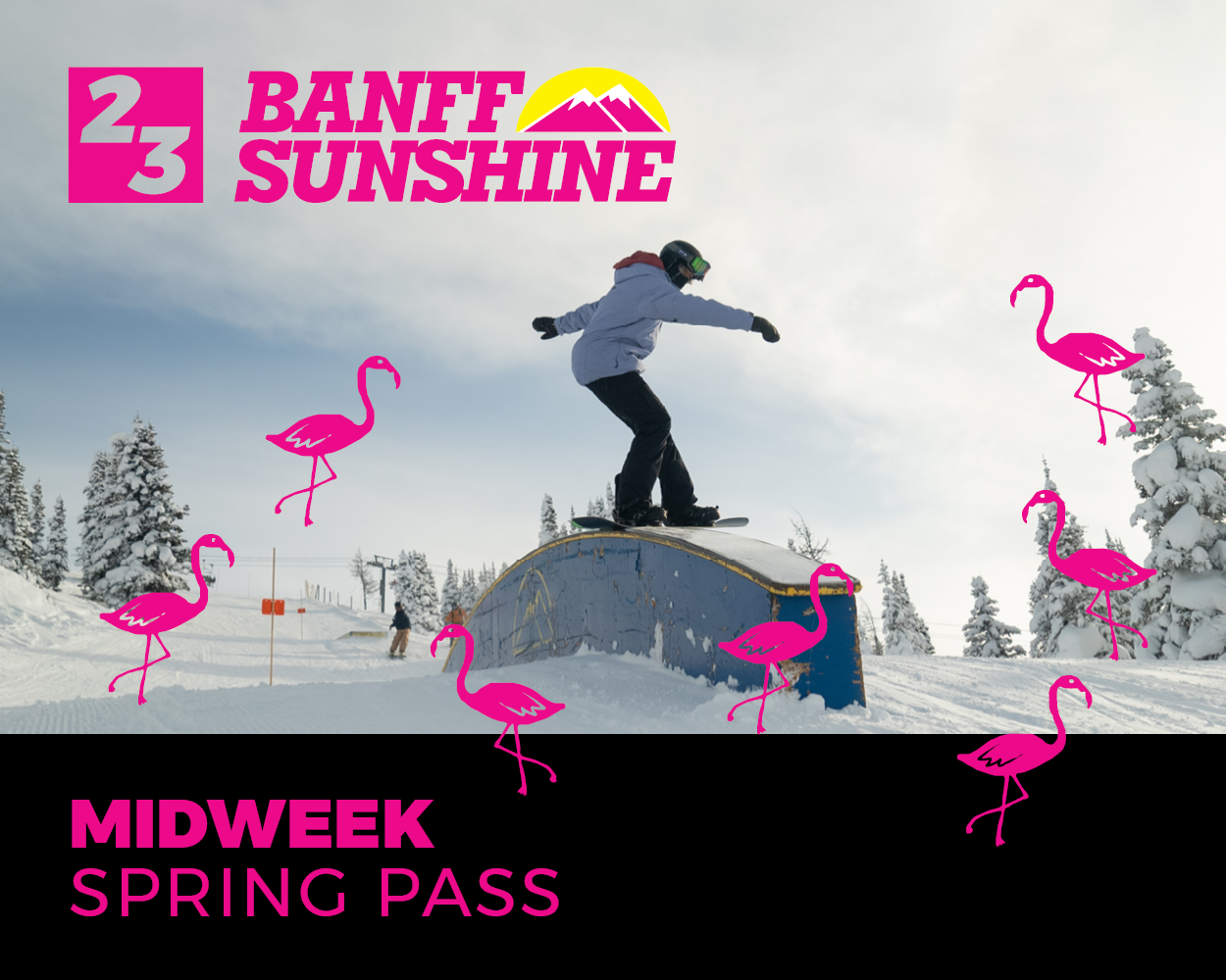 Midweek Season Pass