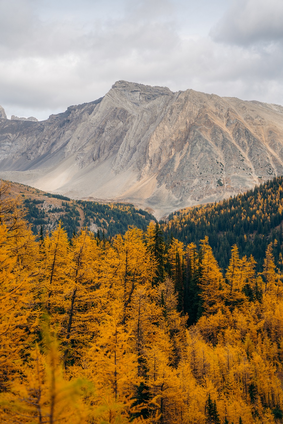 01 - SEPTEMBER 23RD, 2020 - POCATERRA PEAK-RIDGE, KANANASKIS, LARCHES 6.jpg