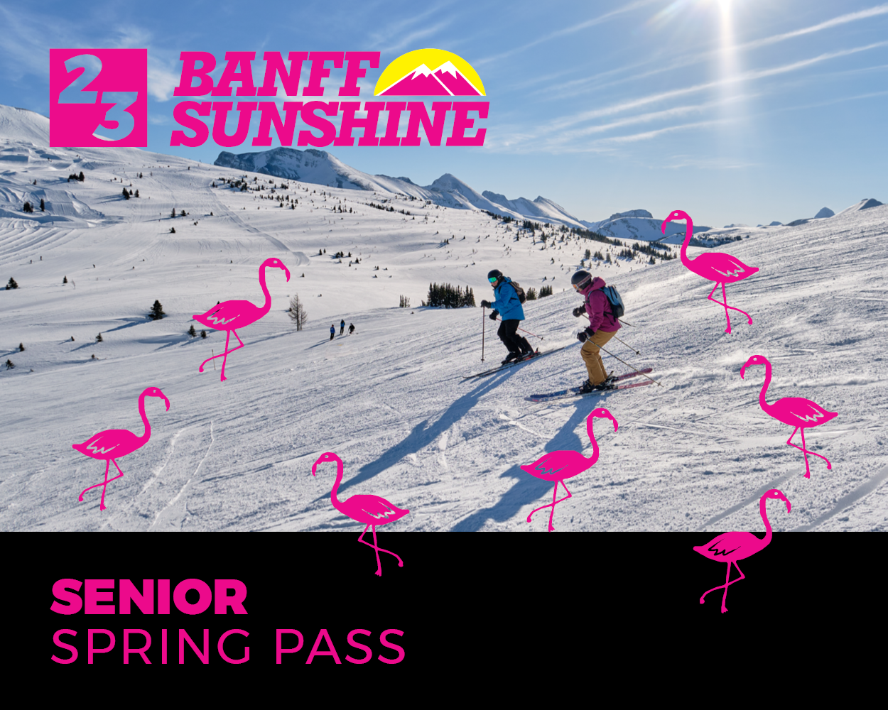 Senior Spring Pass