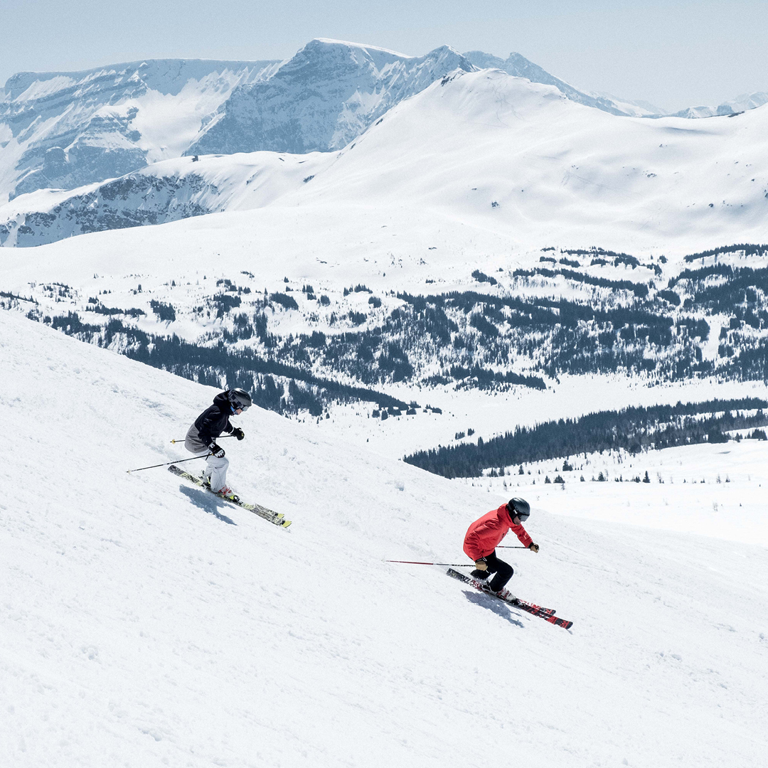 The Best Sunshine Runs, From Greens to Blacks, To Ride With Your Family Hero thumbnail