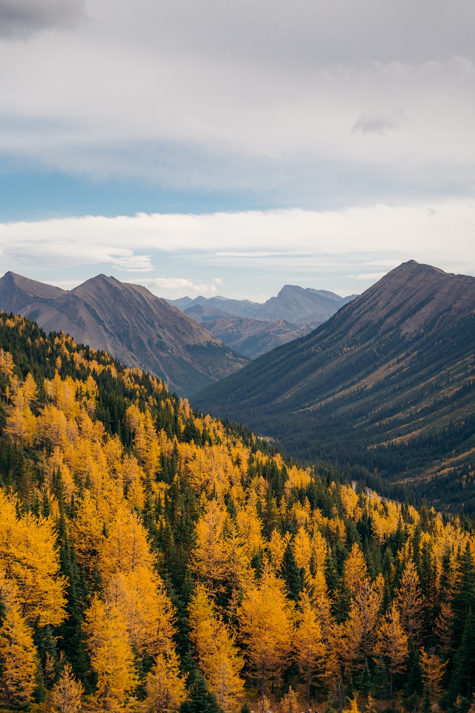 01 - SEPTEMBER 23RD, 2020 - PTARMIGAN CIRQUE, LARCHES 12.jpg