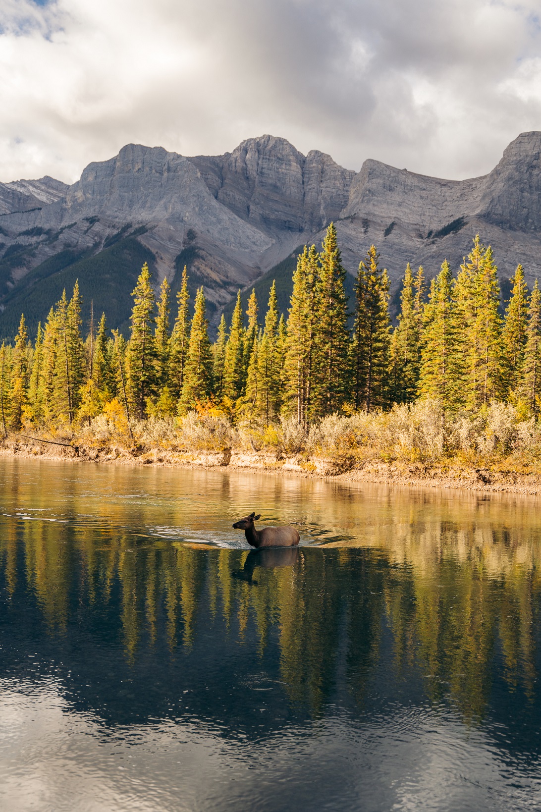 01 - SEPTEMBER 24TH, 2020 - BOW RIVER LOOP 21.jpg