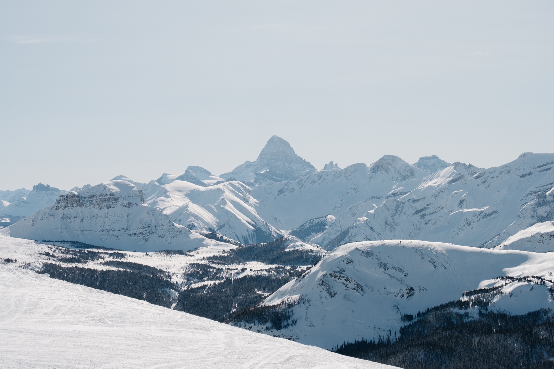 mt Assiniboine bluebird-2214.jpg