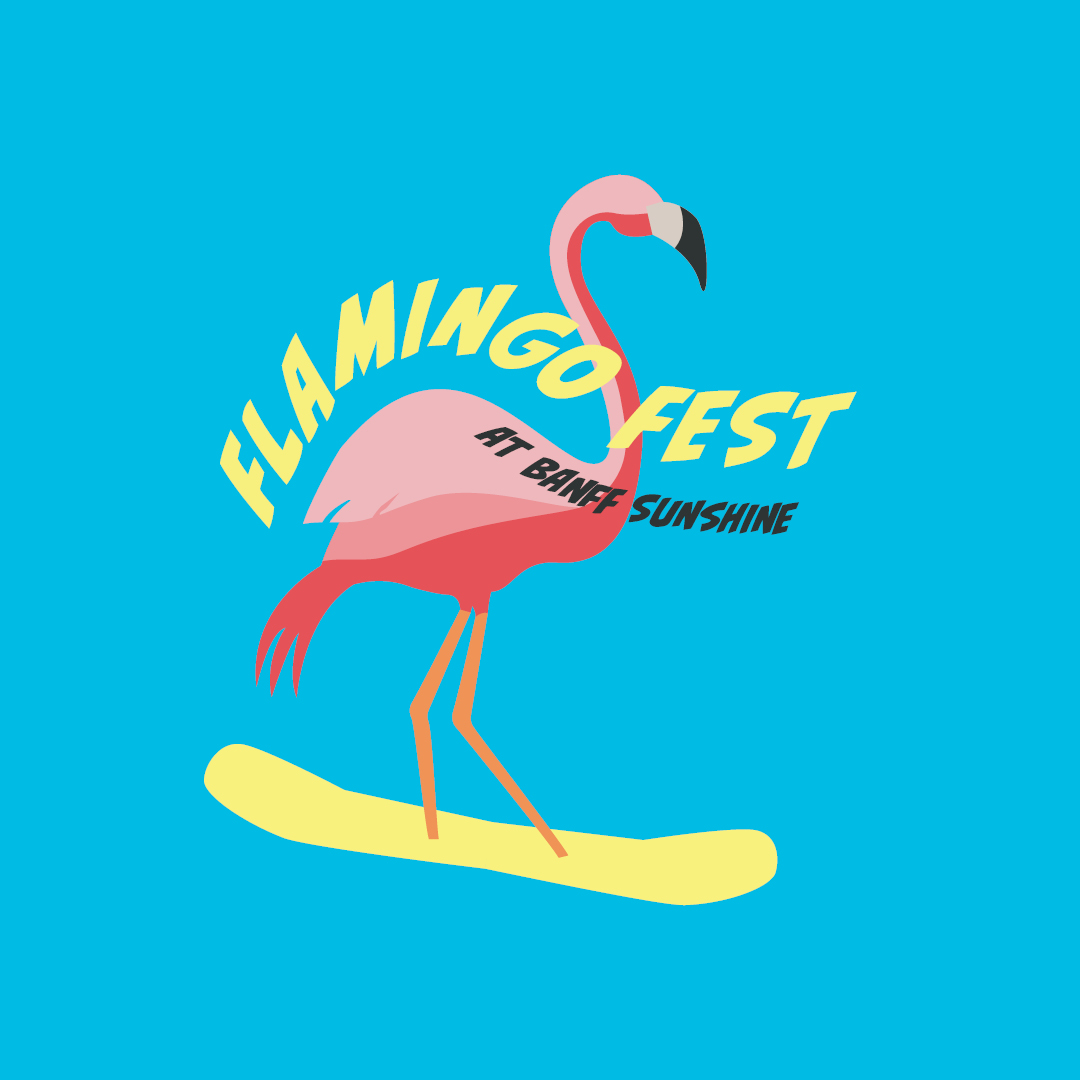 Flamingo Fest // Spring Video Contest Hero thumbnail