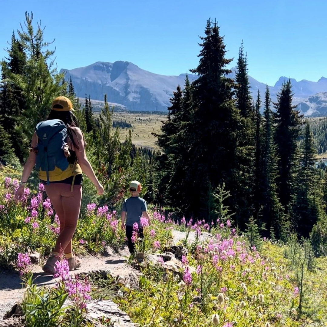 Epic Wild Flower Hike with Kids Who Explore (July 23rd) Hero thumbnail