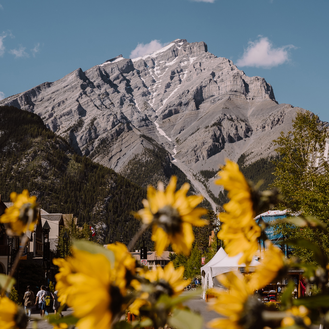 History of Banff Hero thumbnail