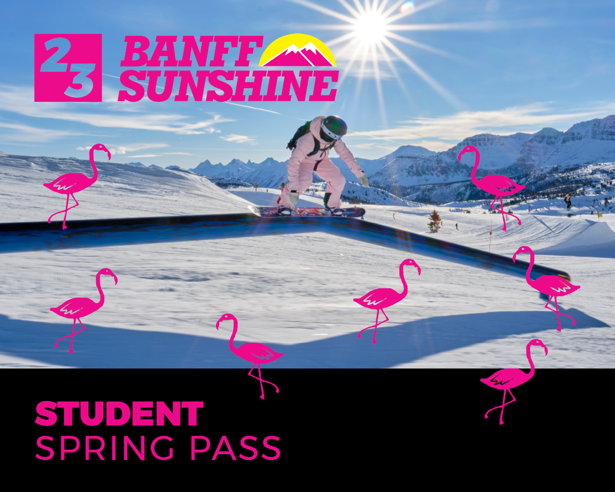 Student Spring Pass