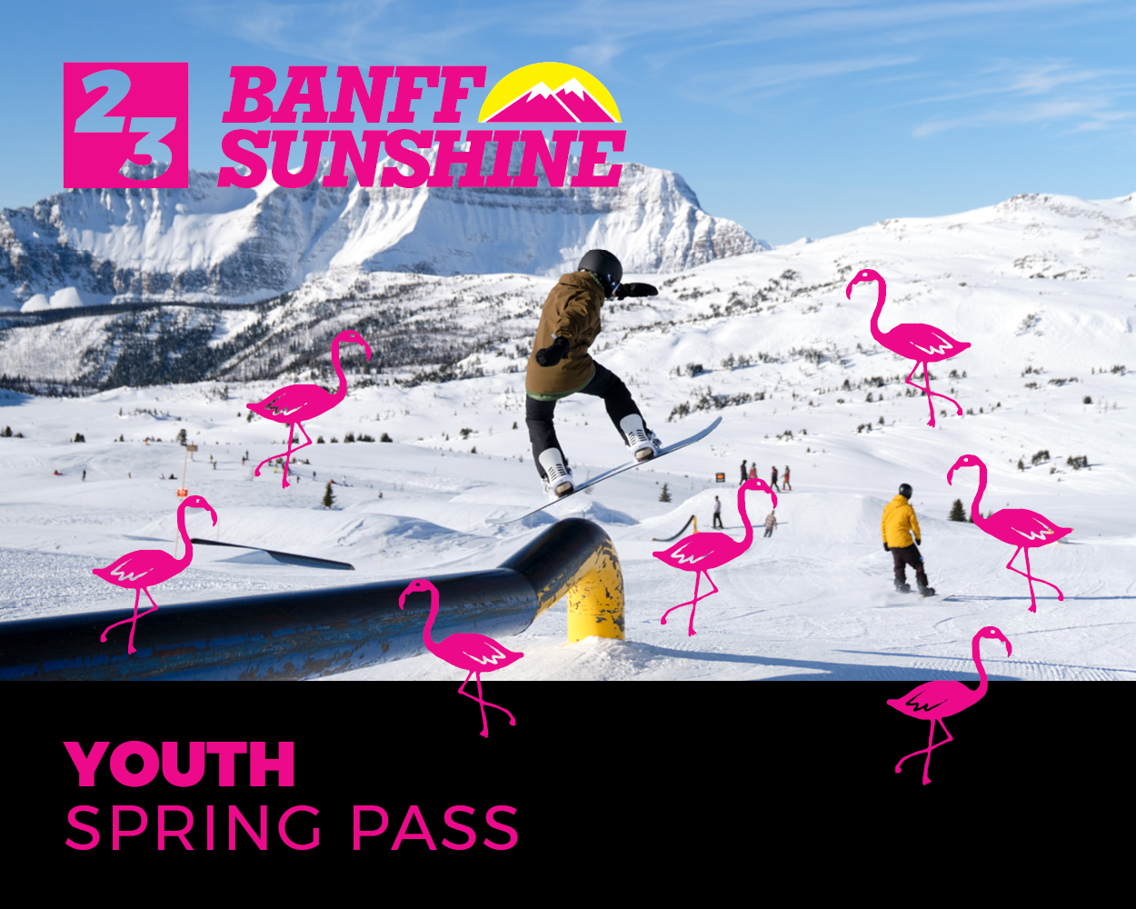 Youth Spring Pass