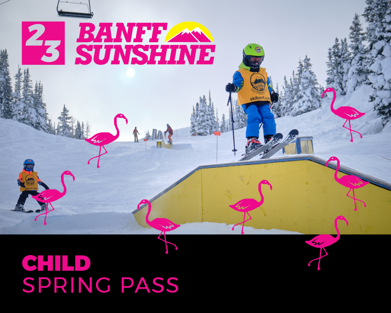 Child Spring Pass