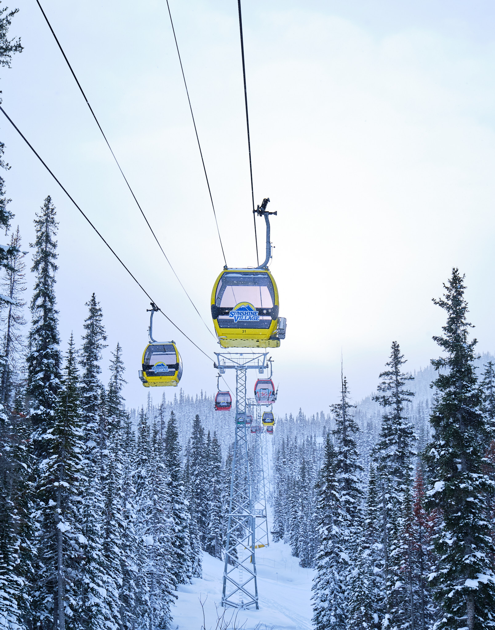 Breaking News: Sunshine Village Opens November 8th! Hero thumbnail