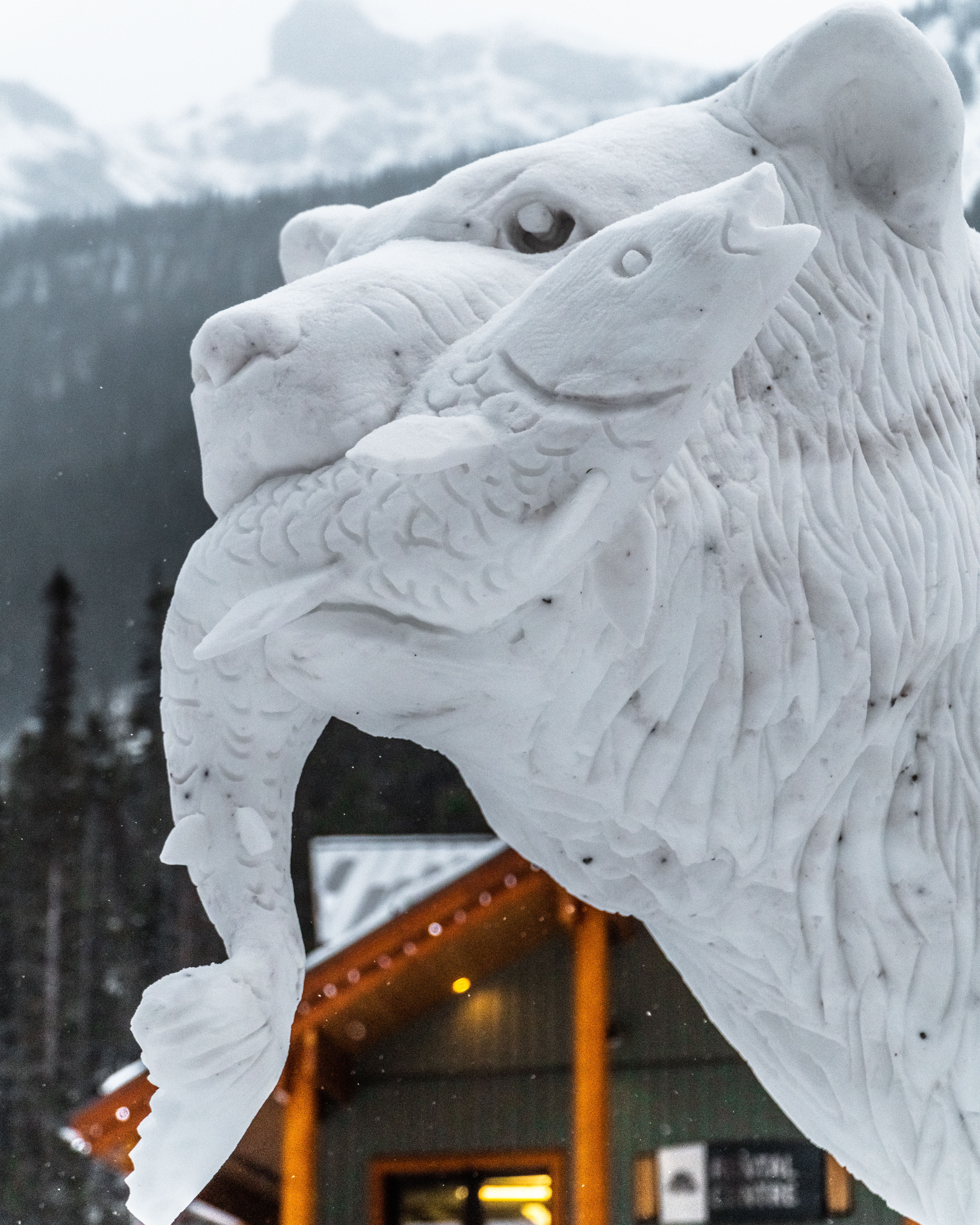 The Festival of Snow Continues at Sunshine Village Hero thumbnail