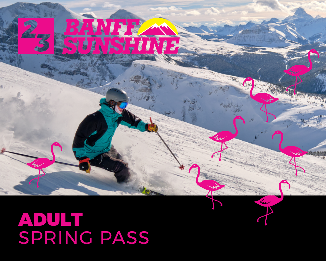 Adult Spring Pass
