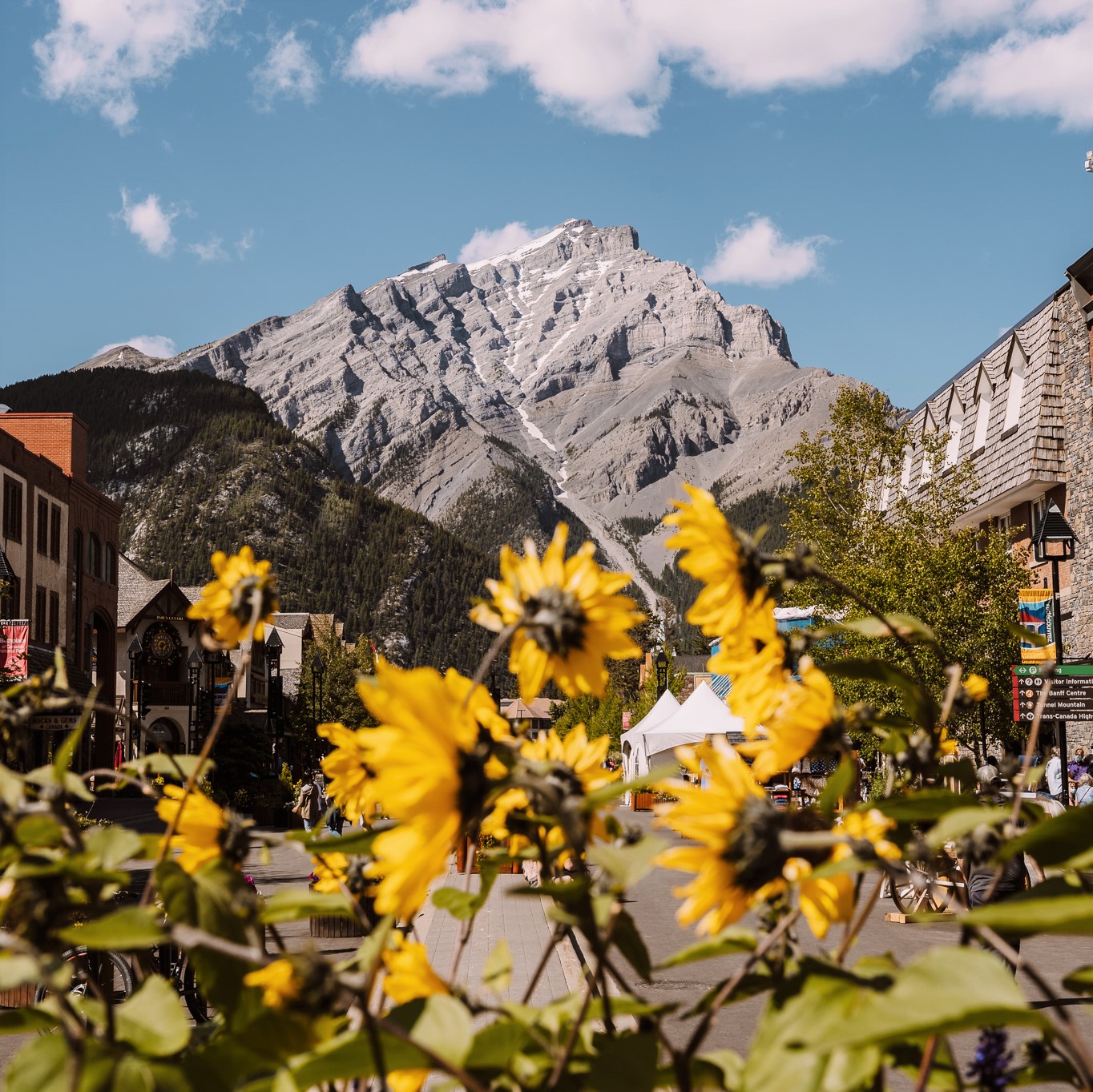 6 Things to Do in Banff This Summer. Hero thumbnail