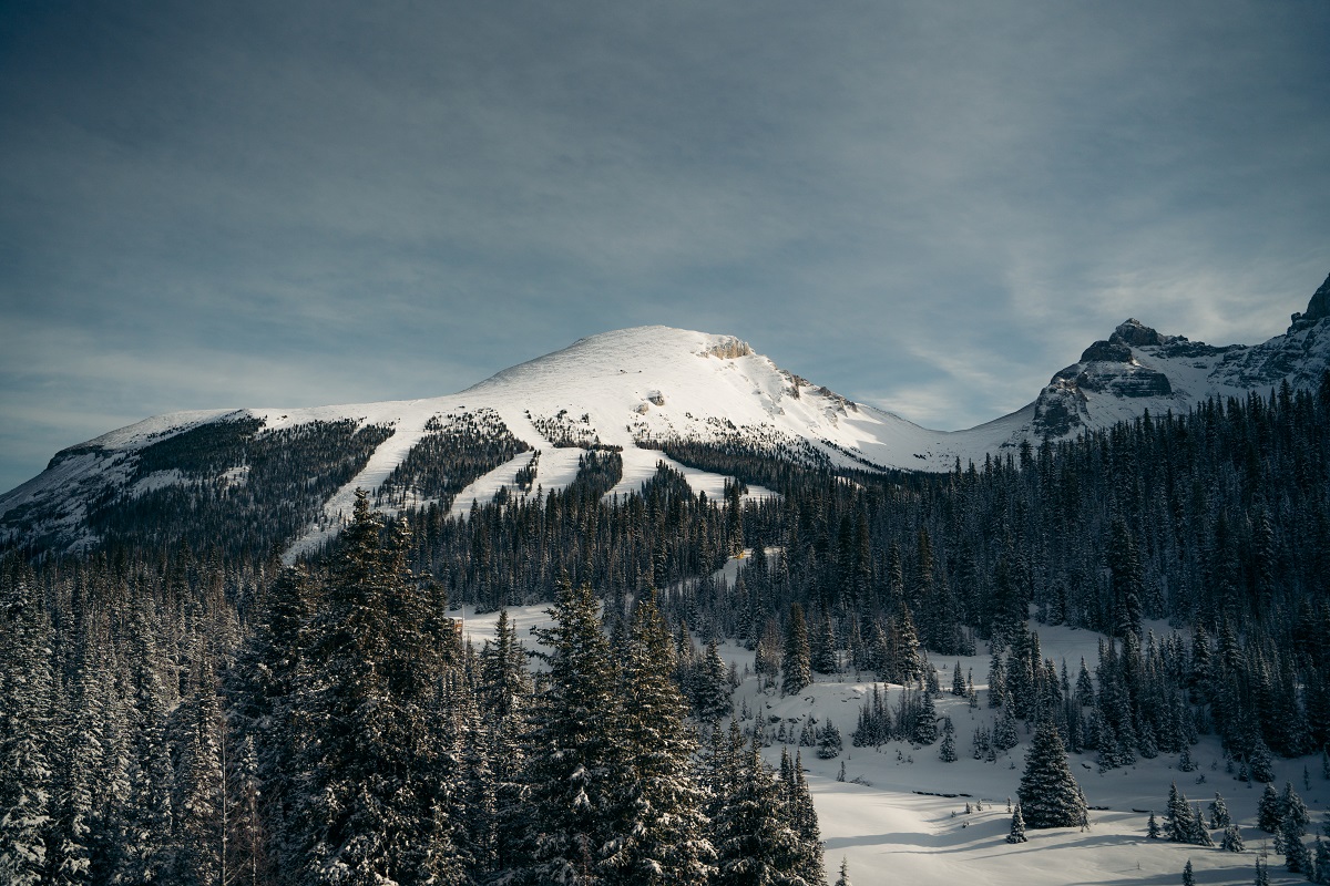 11-06-2020 - GOATS EYE FROM GONDOLA, BLUEBIRD 01 (1).jpg