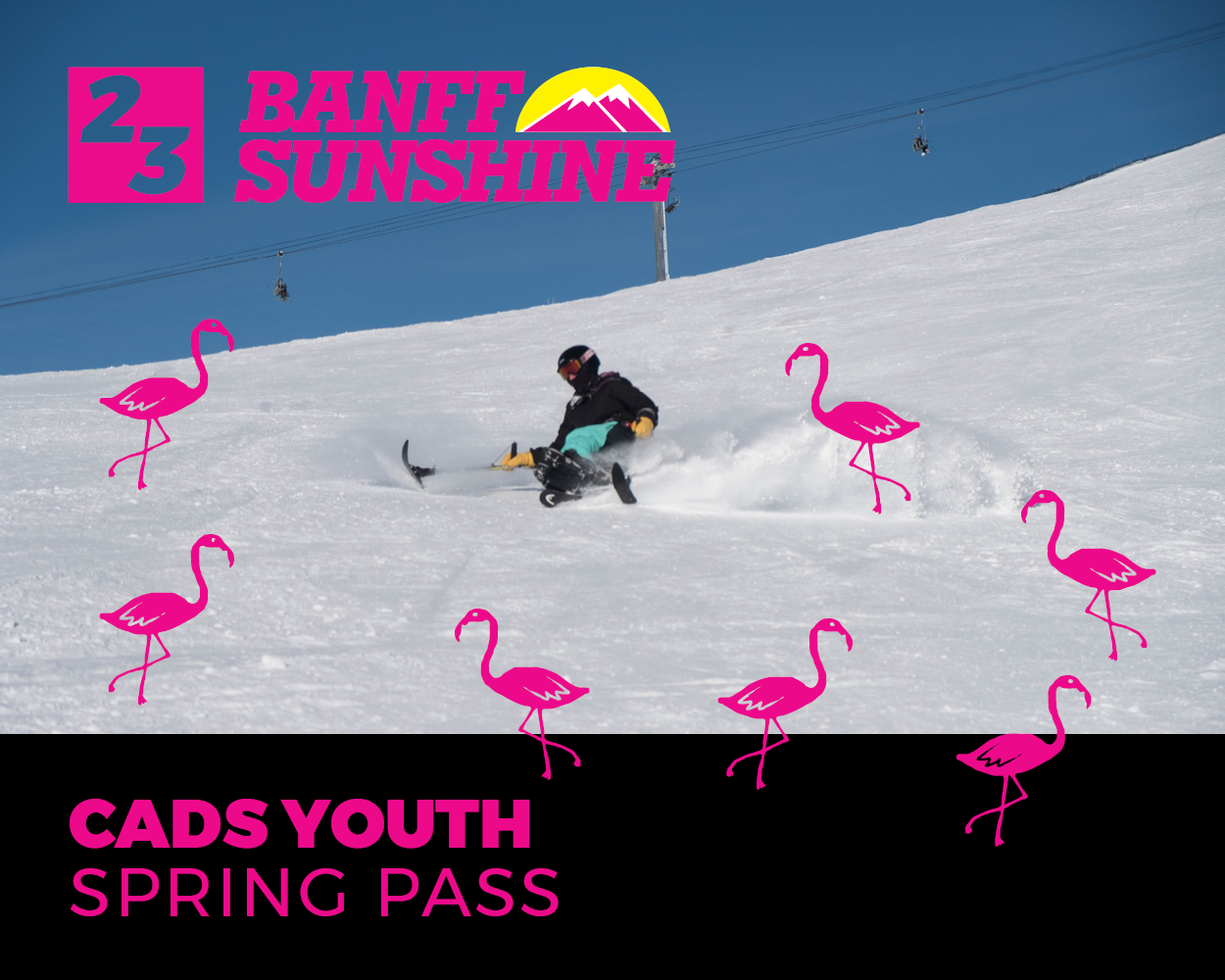 CADS Youth Spring Pass