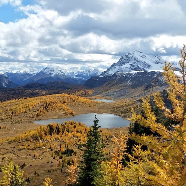 fall.jpg