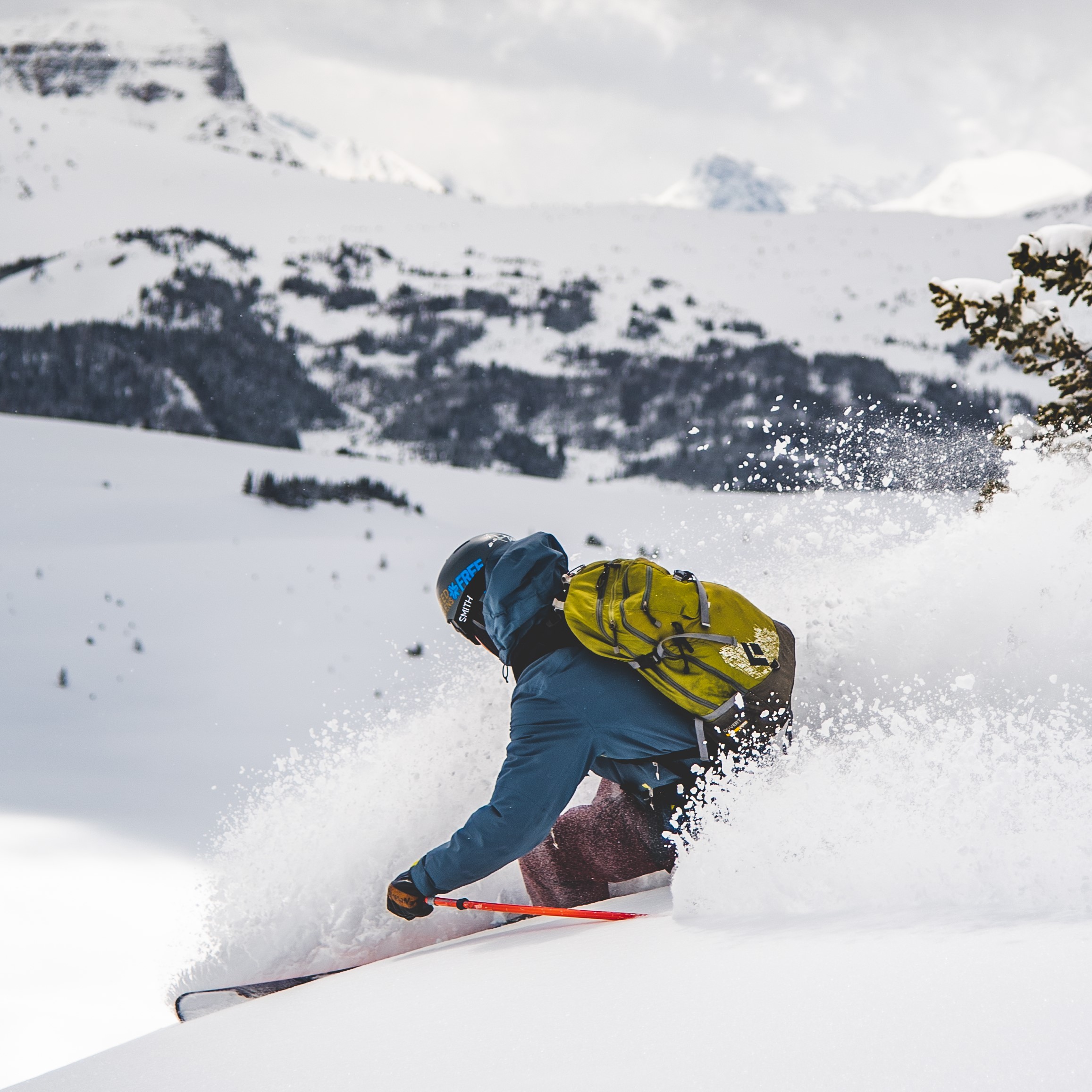 Trail Conditions Weather Grooming Report Cams