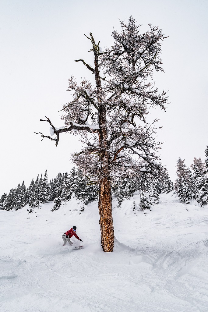 01 - JANUARY 1ST, 2019 - STANDISH LARCH TREE SNOWBOARDER KENDRA 03.jpg