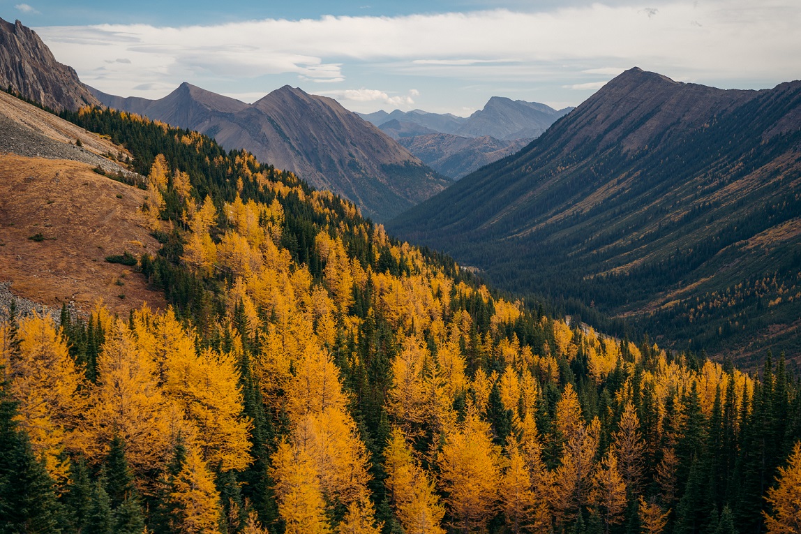 01 - SEPTEMBER 23RD, 2020 - PTARMIGAN CIRQUE, LARCHES 13.jpg