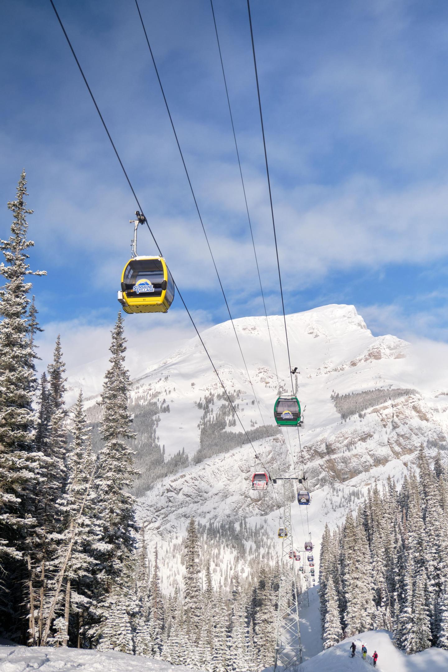 Ski lift gondolas in snow-covered mountain landscape with pine trees.