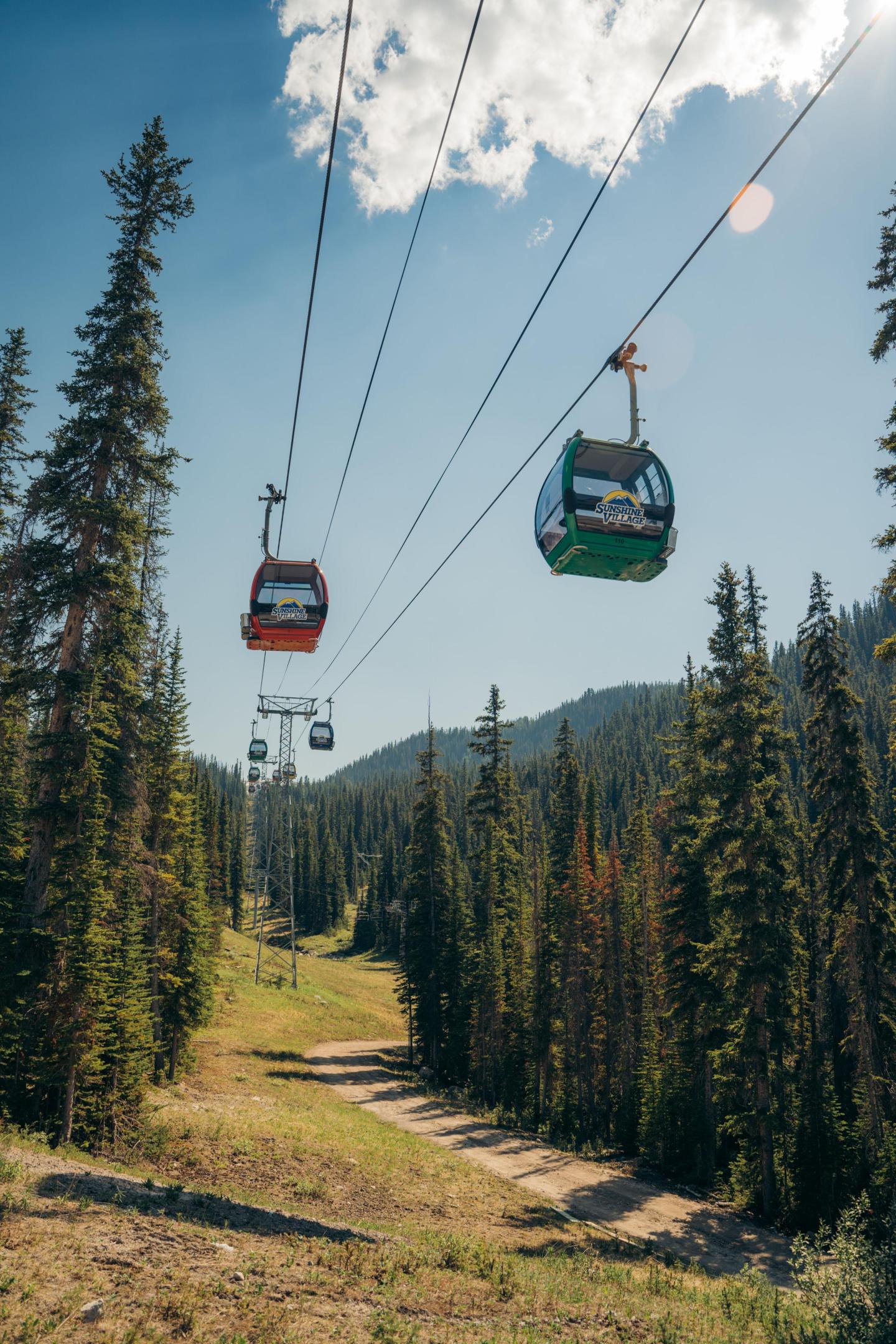 Cable cars over a forested mountain landscape under a clear sky.