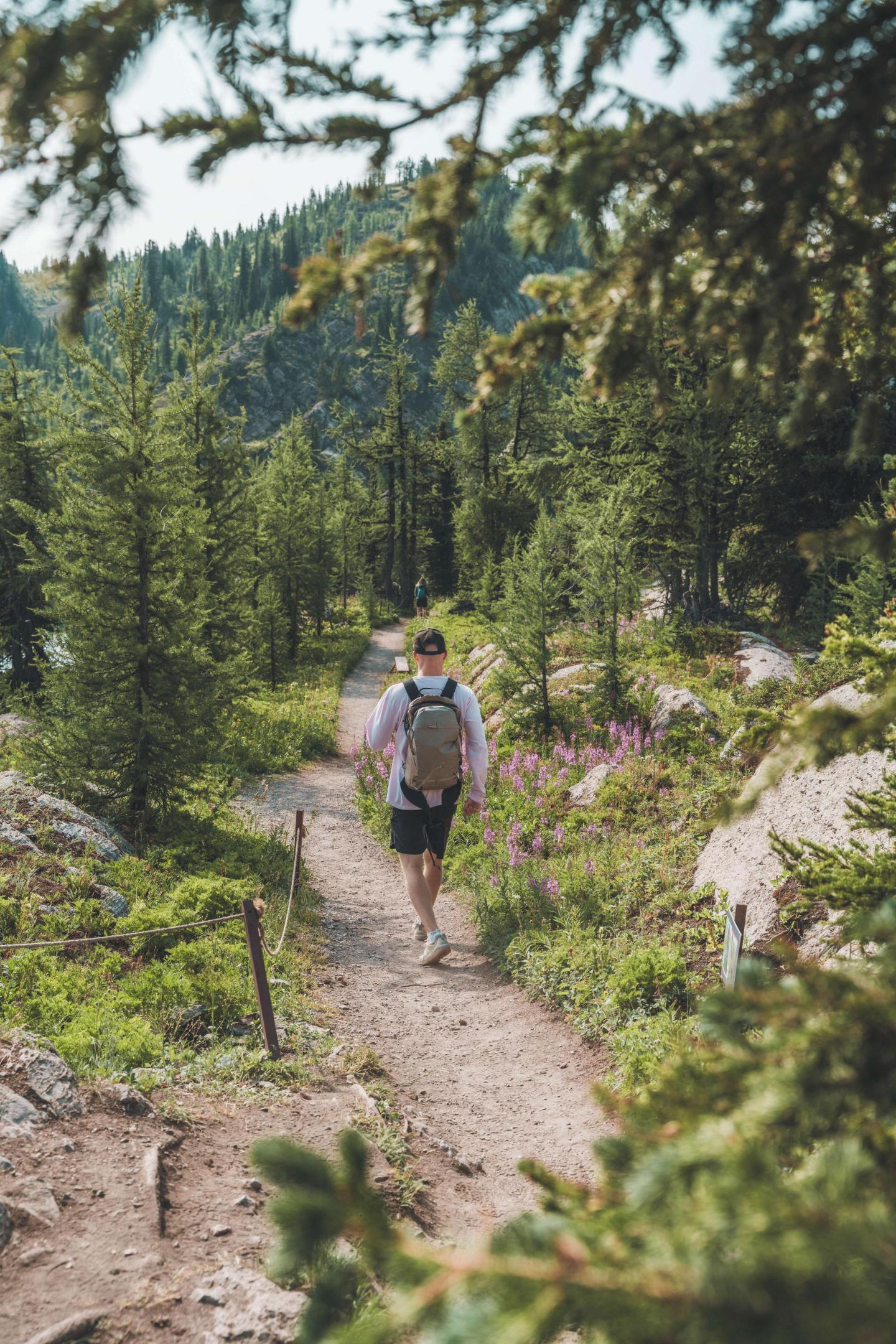 Hiker walking on a forest trail surrounded by greenery and mountains.