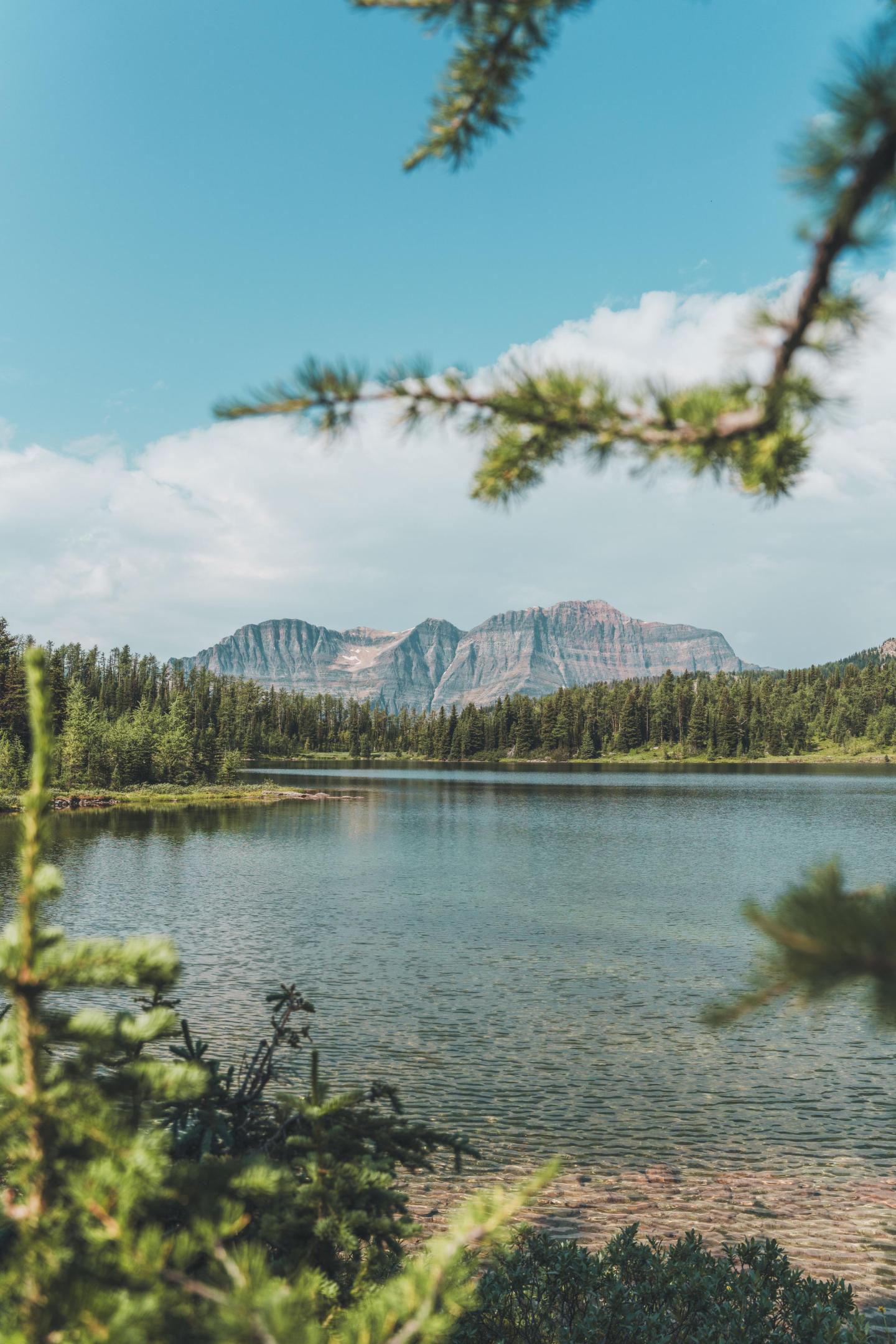Lake with distant mountains, framed by tree branches under a clear blue sky.
