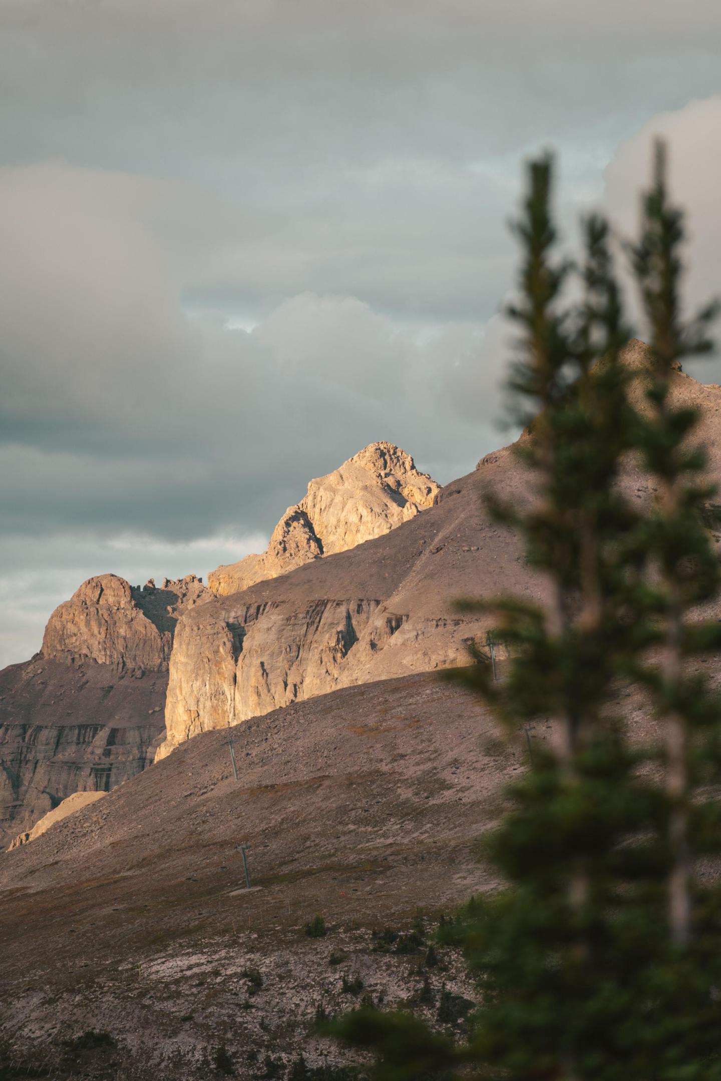 Sunlit mountain peak with cloudy sky, pine tree in foreground.