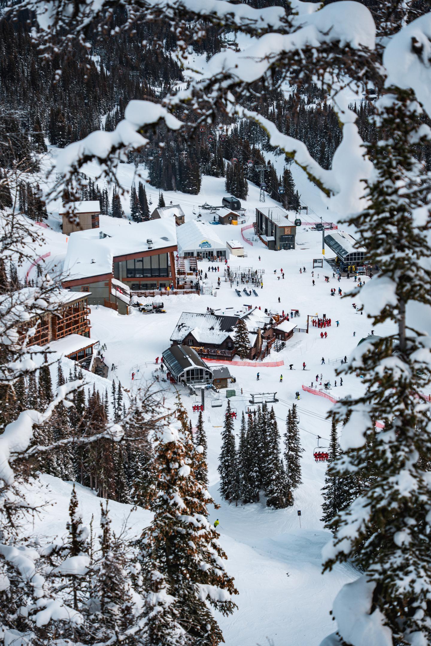 Ski resort village nestled in snow-covered pine trees.