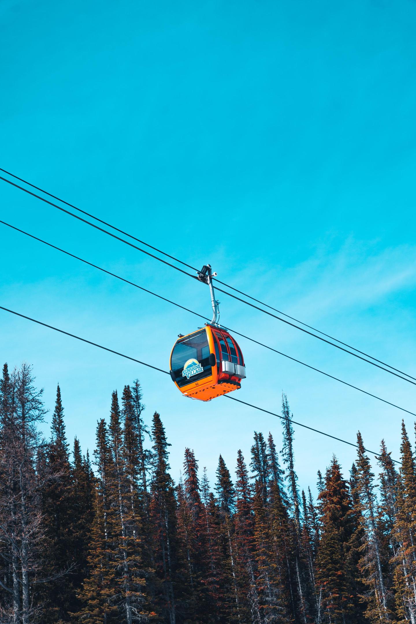 Orange cable car above pine trees in clear blue sky.