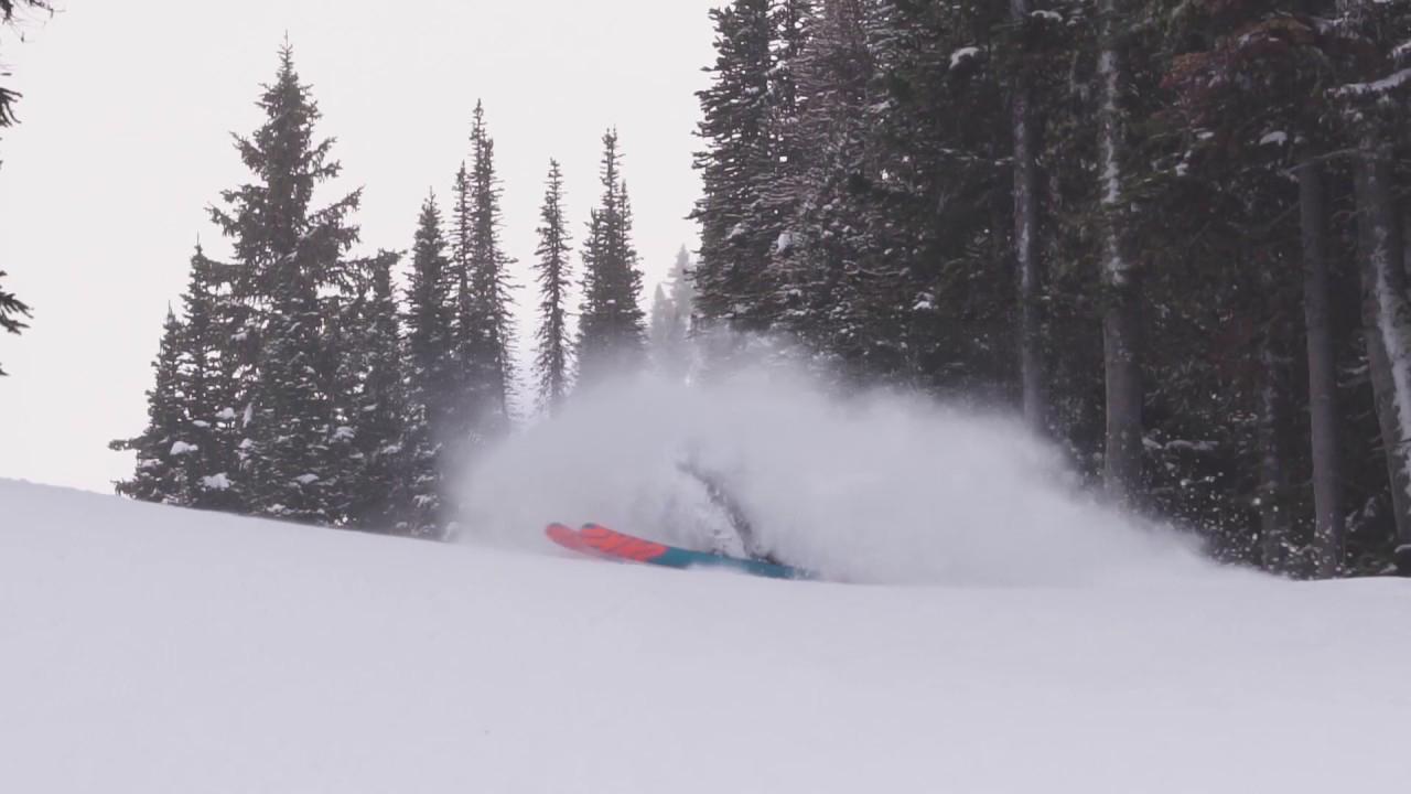 Skier in colorful gear glides on fresh snow among tall trees.