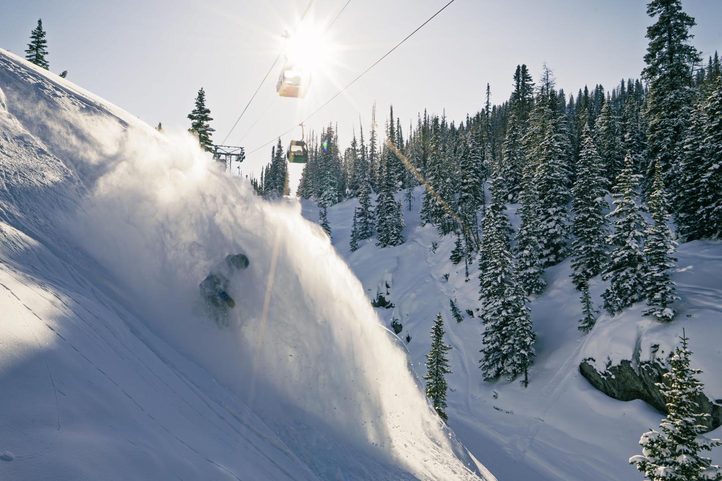 Skier descending a snowy slope with trees and sun in the background.