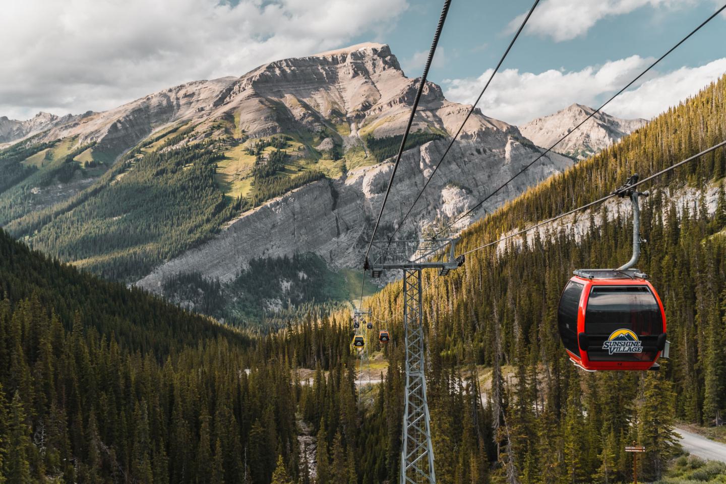Red cable car travels across a mountainous landscape with pine trees.