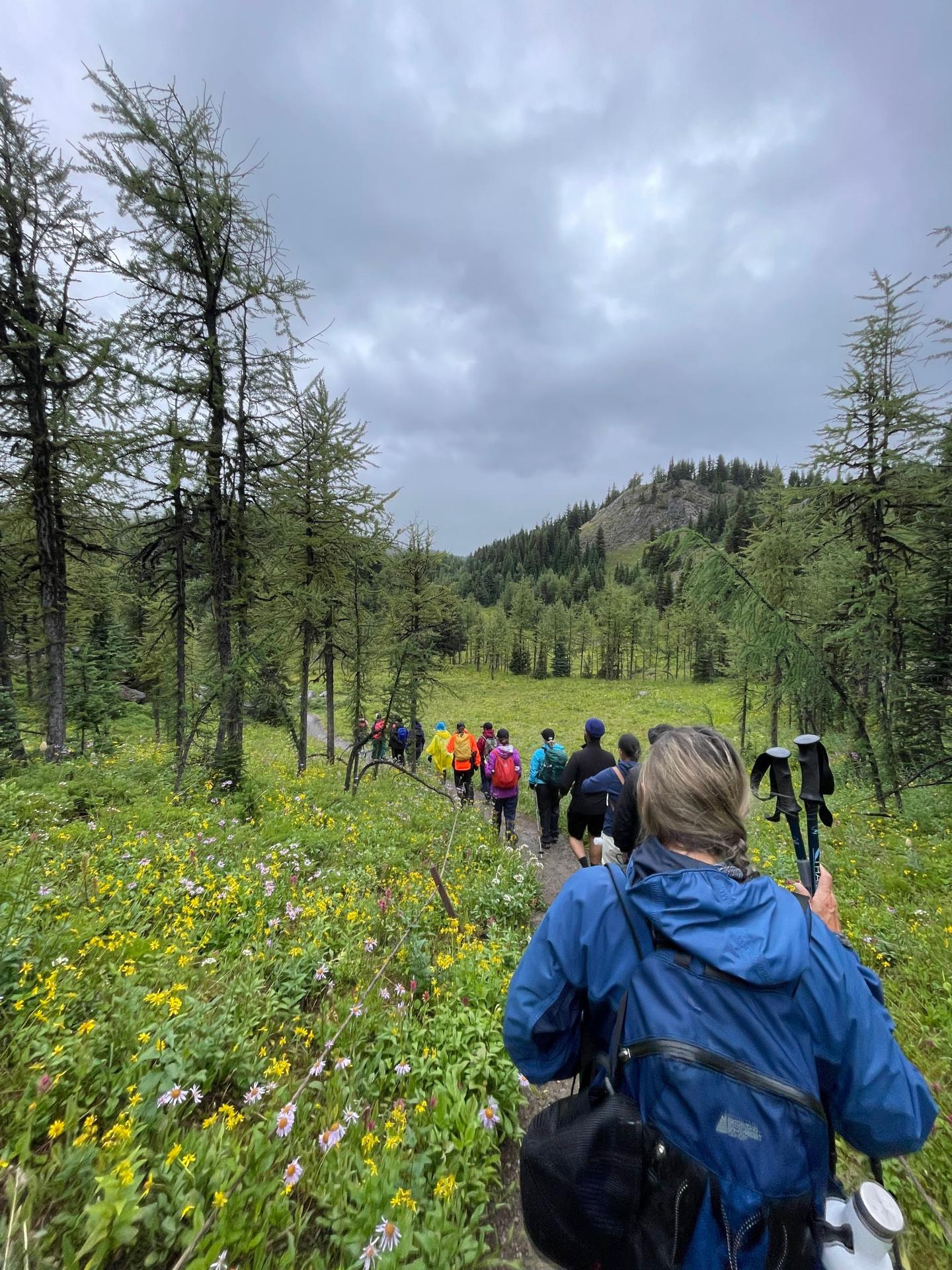 Hikers on a lush trail in a forested, mountainous area under a cloudy sky.