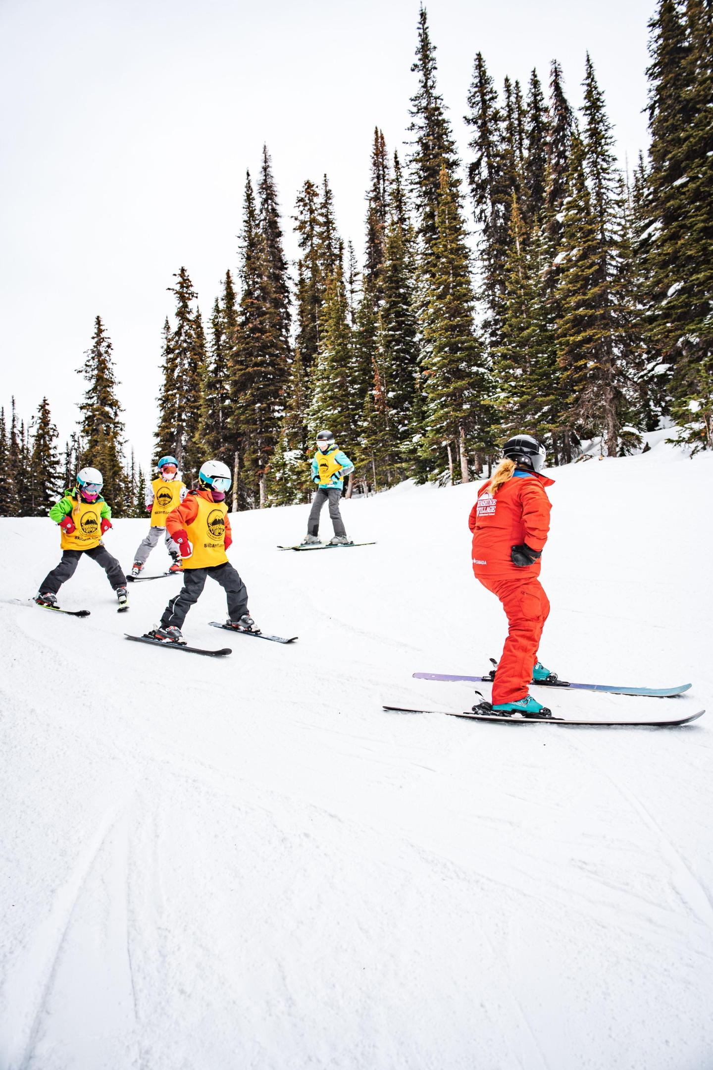 Ski instructor leads a group down a snowy slope, evergreens in the background.