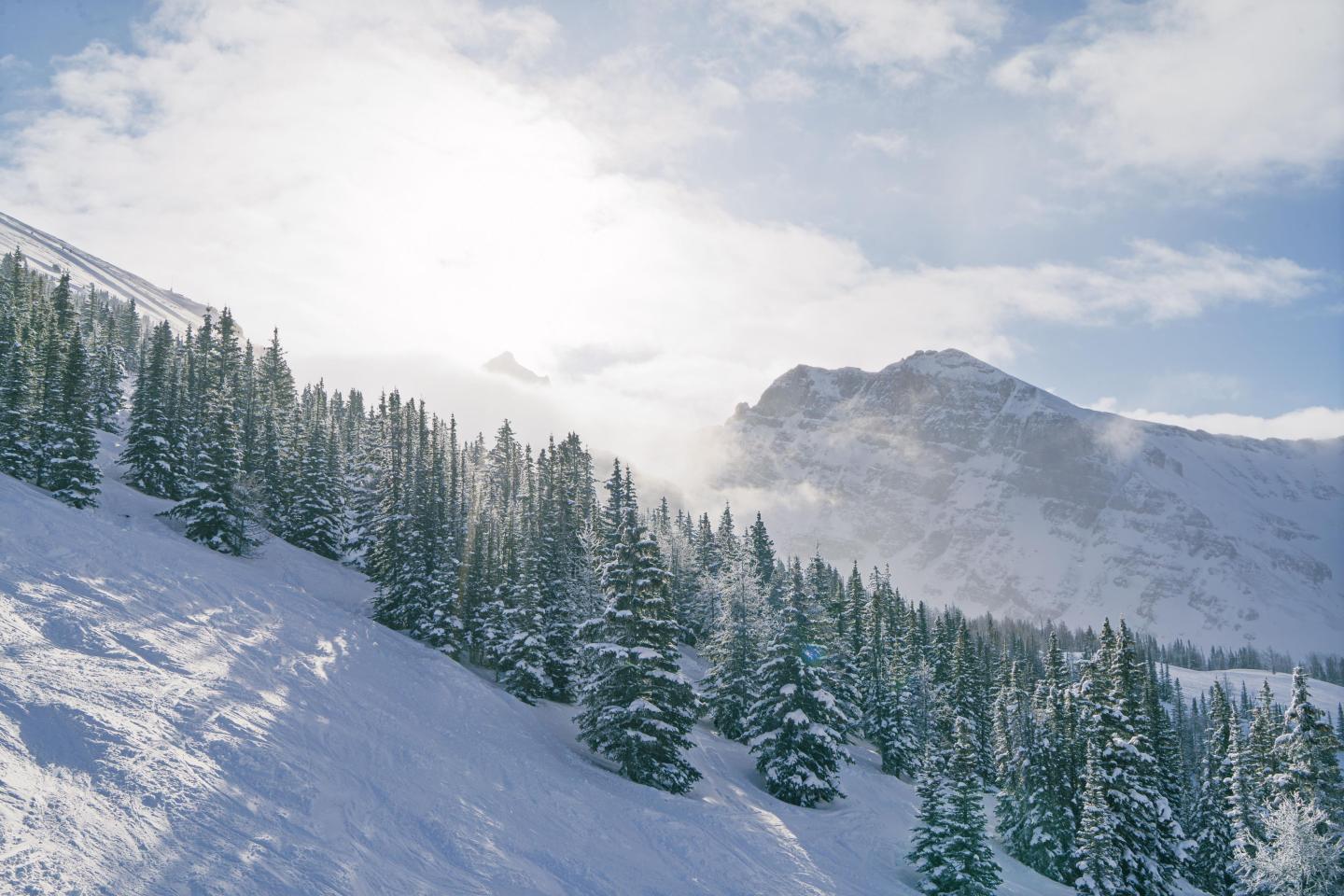 Snow-covered mountain slope with pine trees under a bright sky.