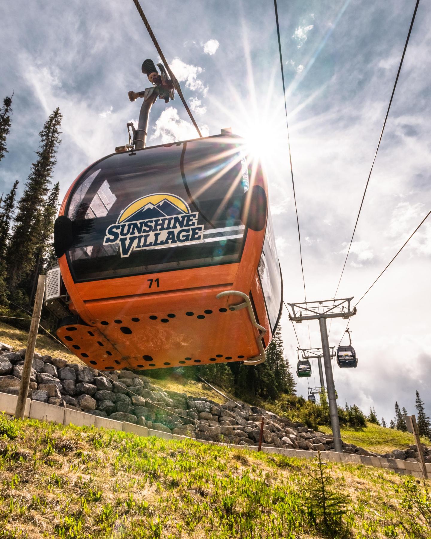 Orange gondola in sunlight, suspended on cable over grassy slope with pine trees.