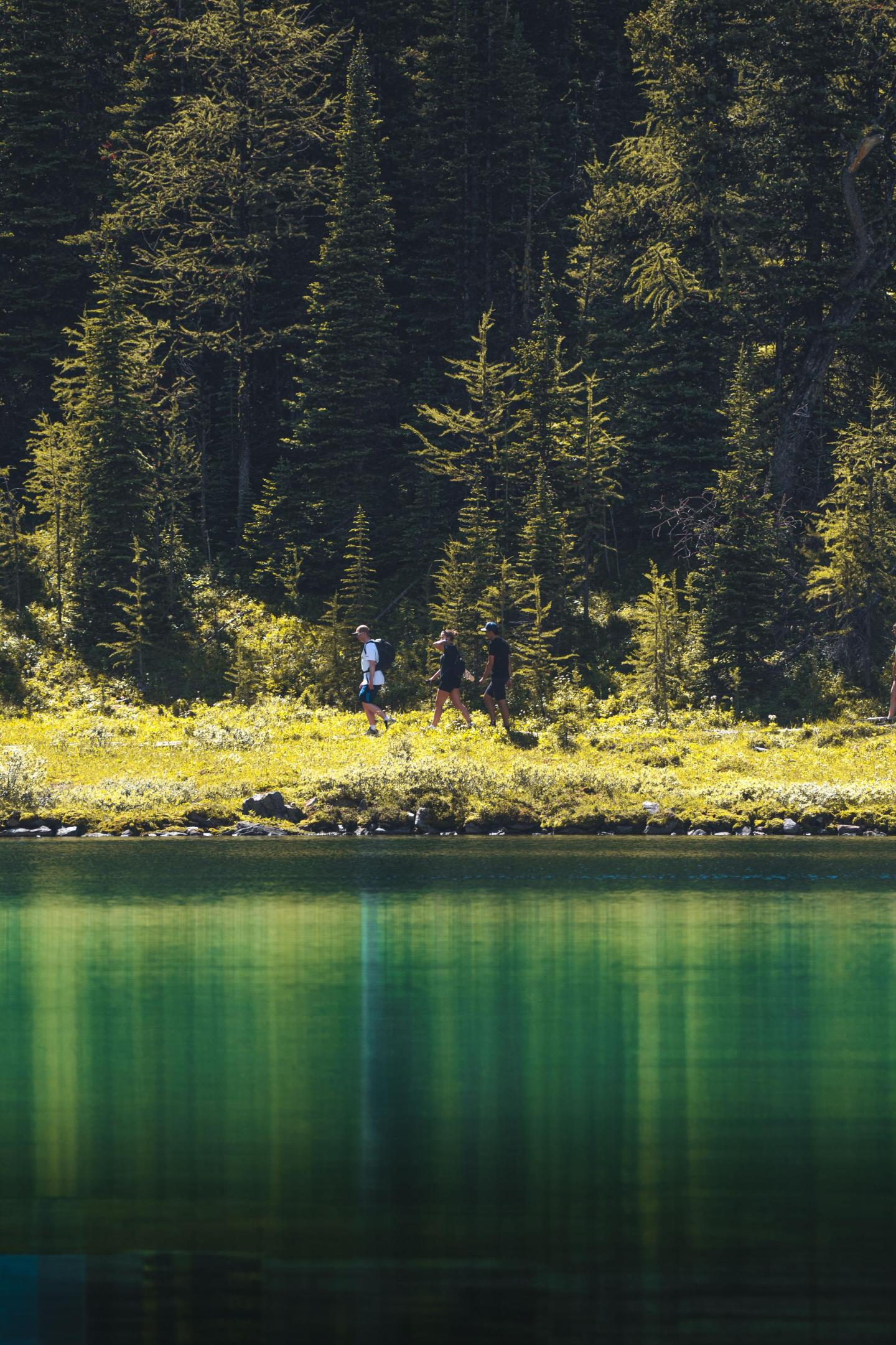 Forest reflection on a serene green lake, people walking along the shoreline.