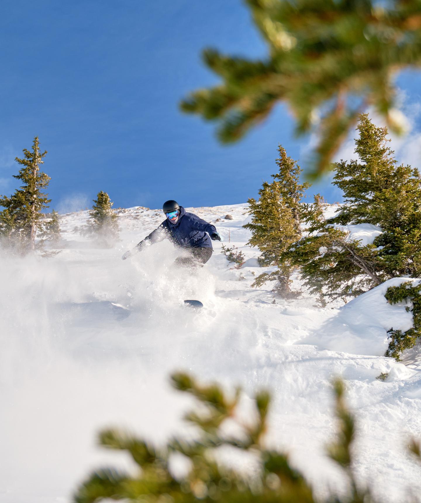 Skier carving through deep powder among snow-covered evergreen trees.