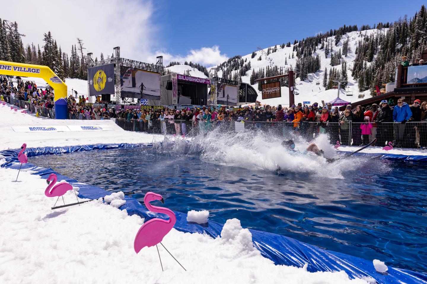Skier splashes through a pond at a snowy resort, with pink flamingo decorations.