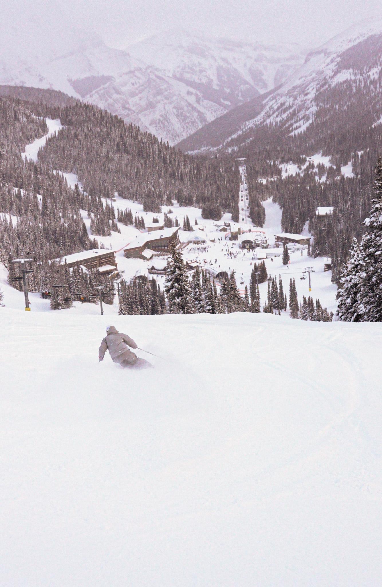 Skier carving through fresh snow above a mountain village and forested valley
