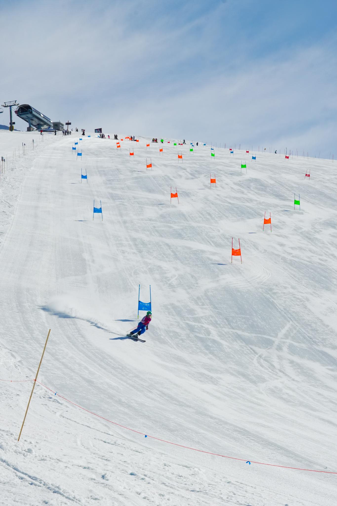 Skier carving downhill on a snowy slalom course marked by colorful flags.