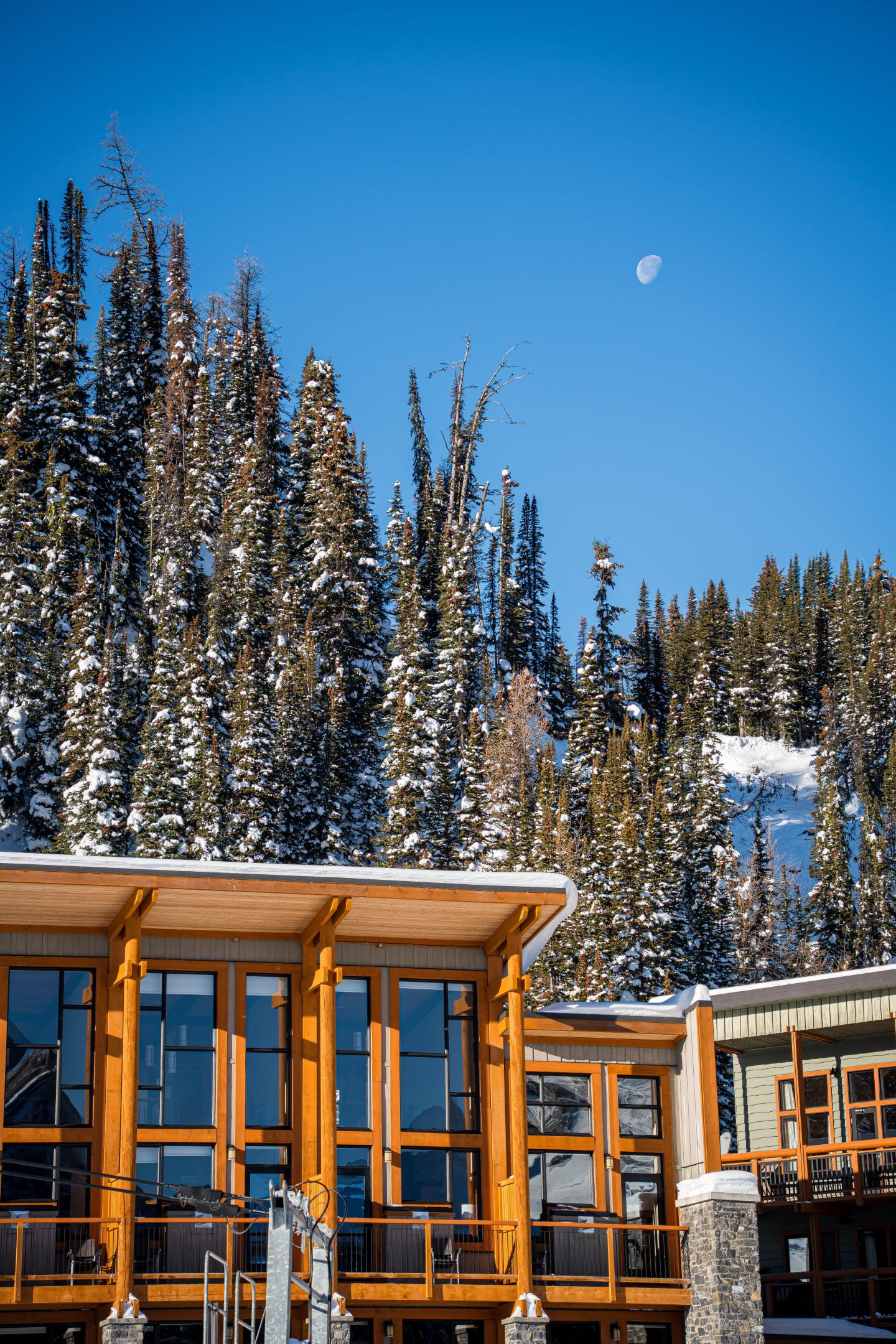 Snow-covered log cabins beneath tall evergreens and a bright blue sky.