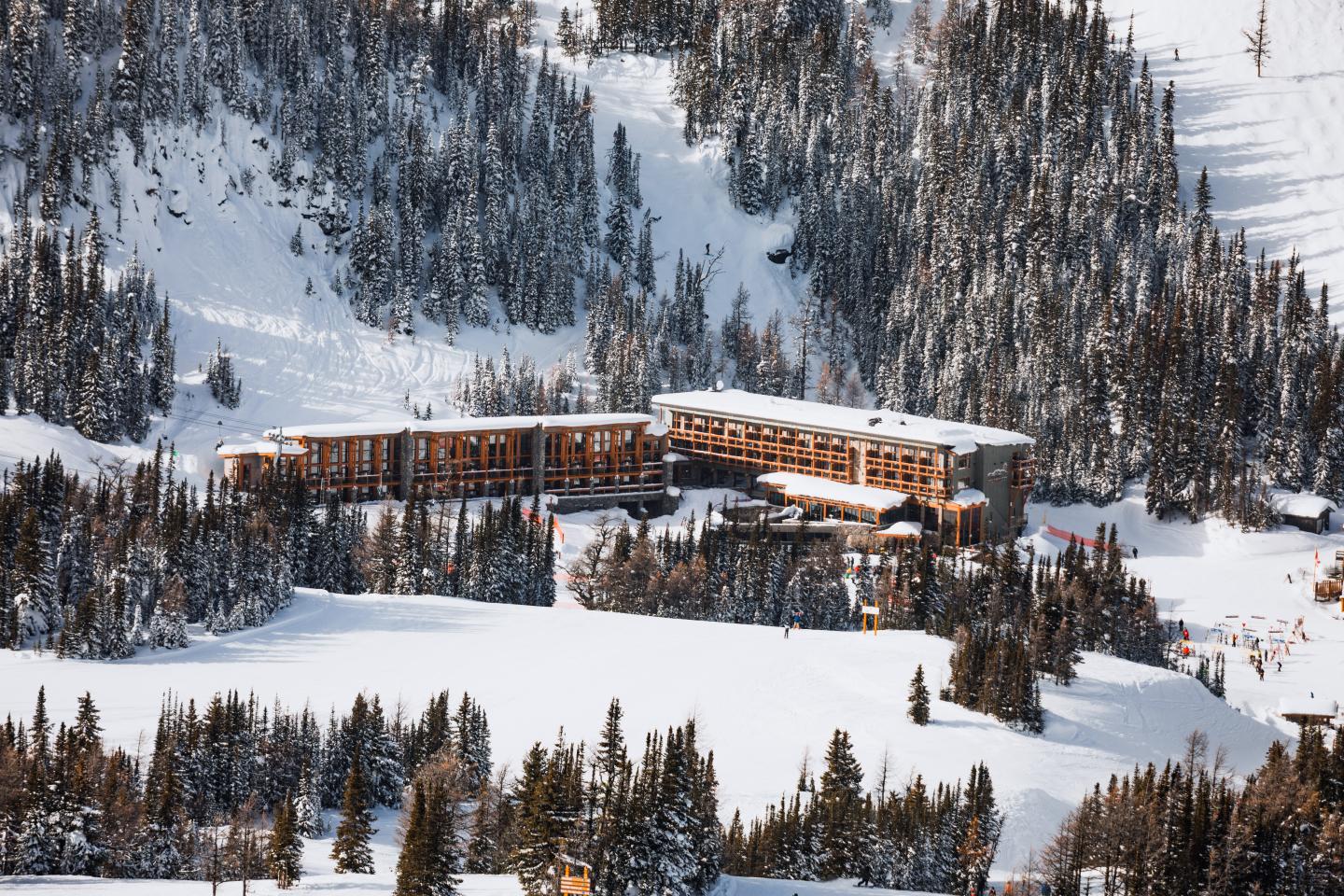 Snow-covered lodge nestled among dense pine trees on a mountain slope.