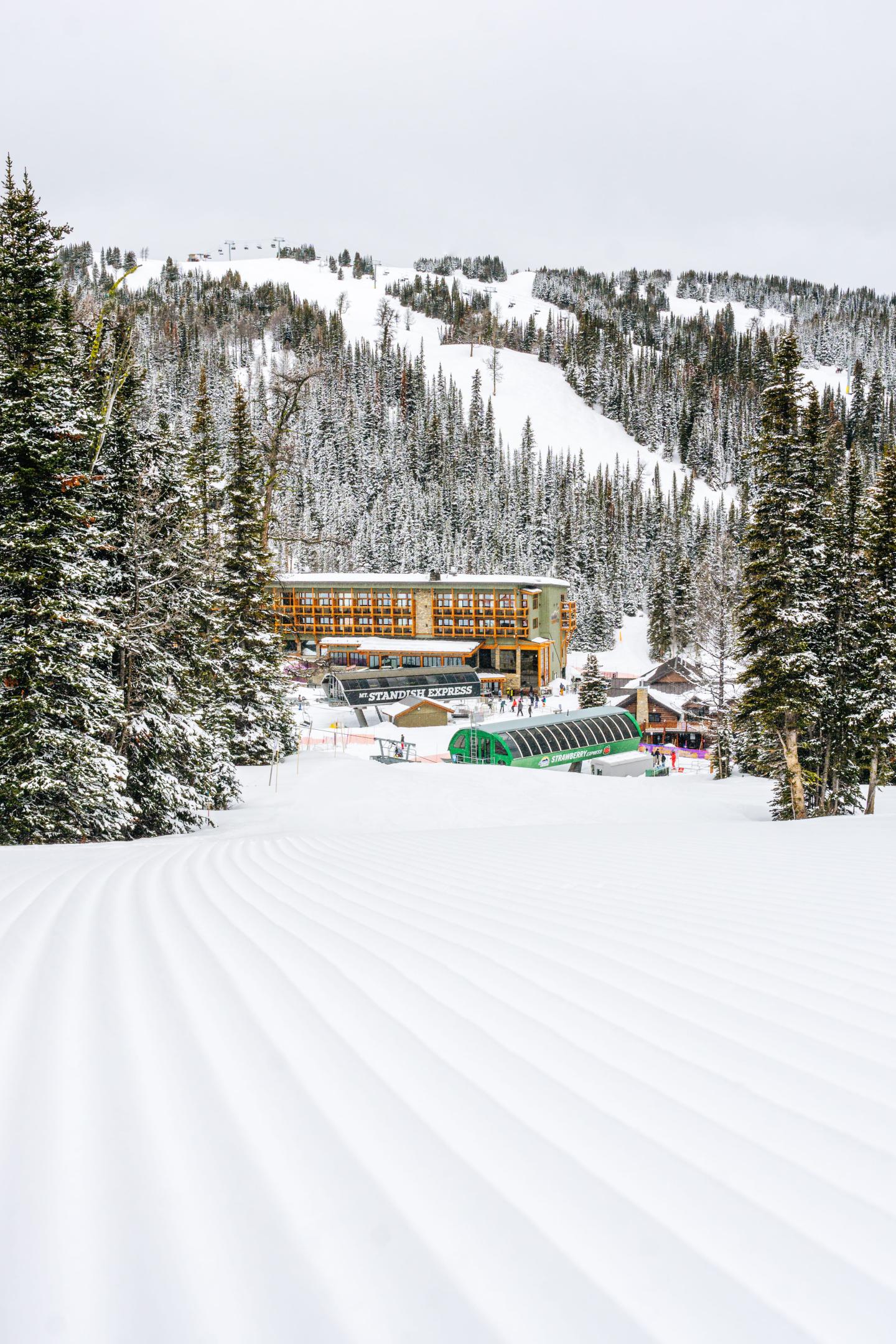 Snow-covered ski resort lodge nestled among pine trees and mountains.