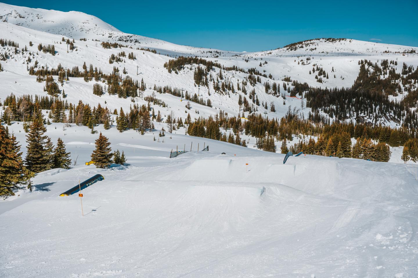 Snow-covered mountain slope with scattered pine trees under a clear blue sky.