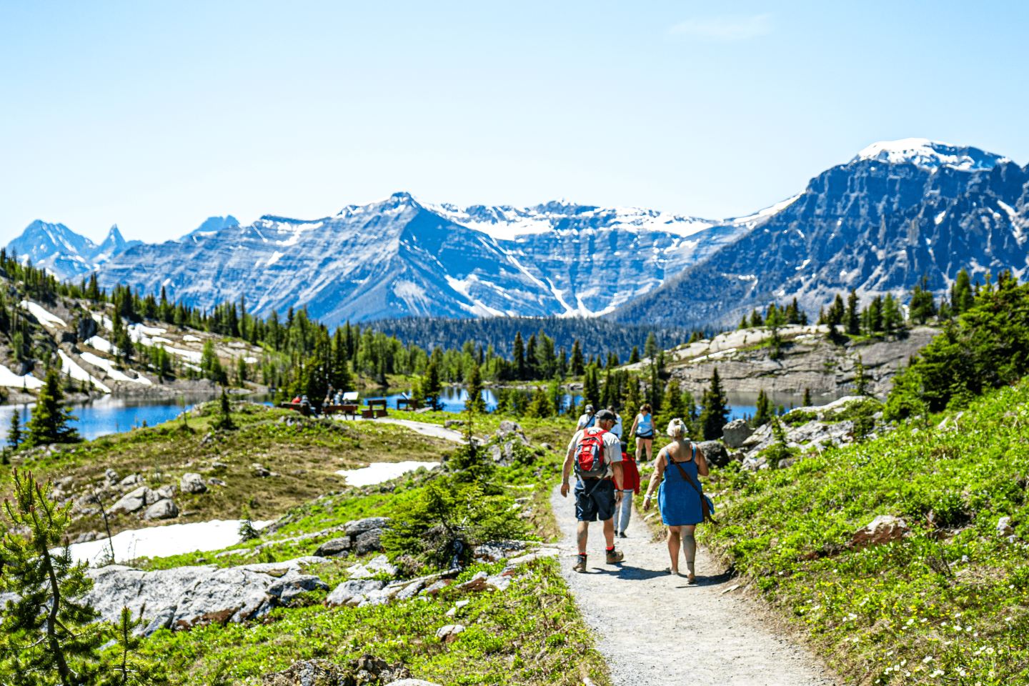 Two hikers on a trail through alpine meadows beneath snow-capped mountains.