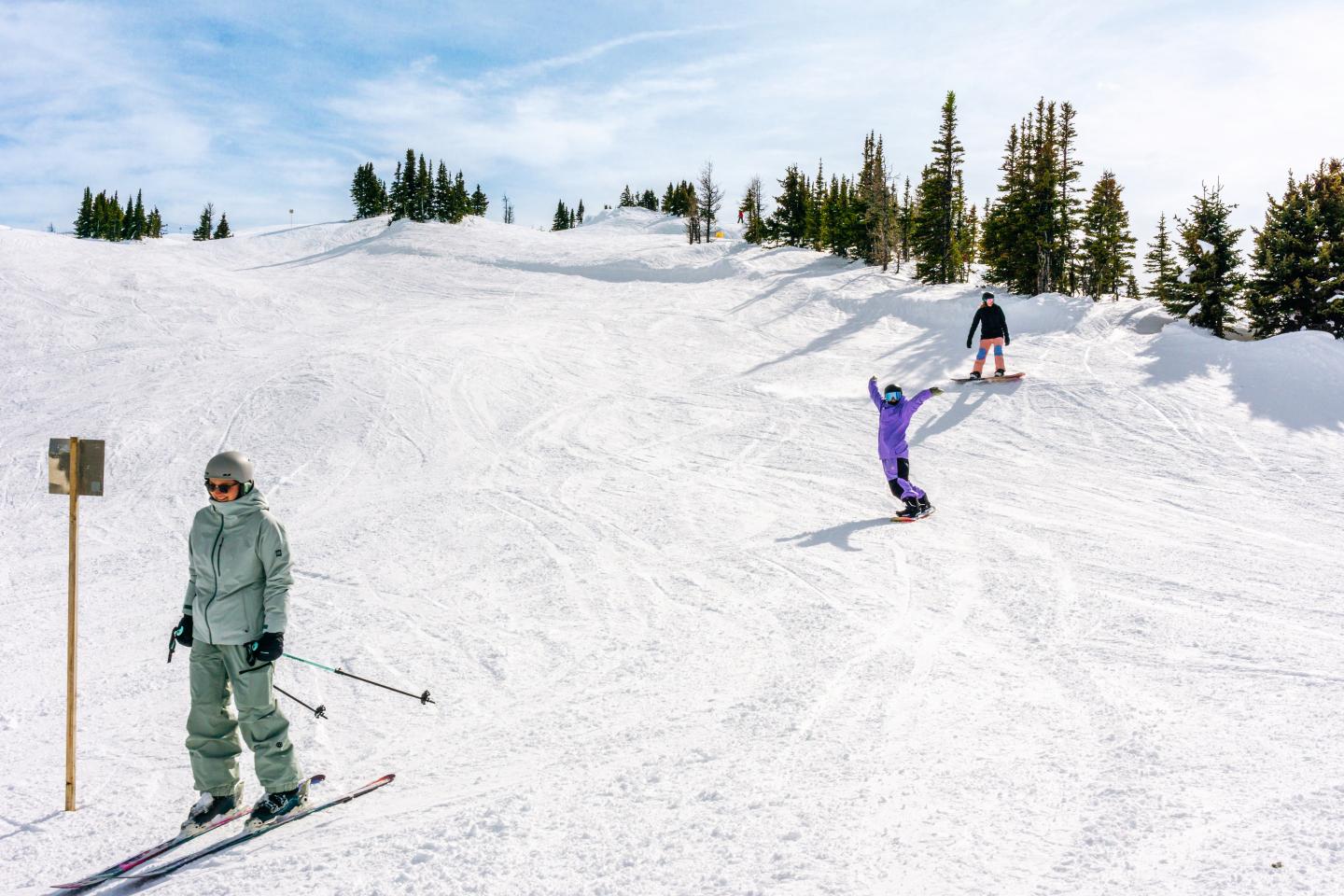 Two skiers descending a snowy slope beneath evergreen trees.